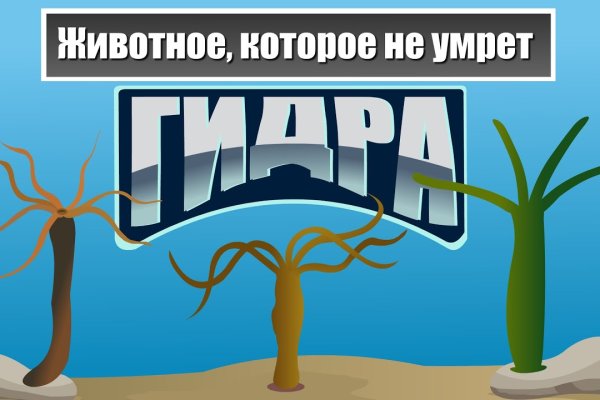 Ссылка на кракен на сегодня