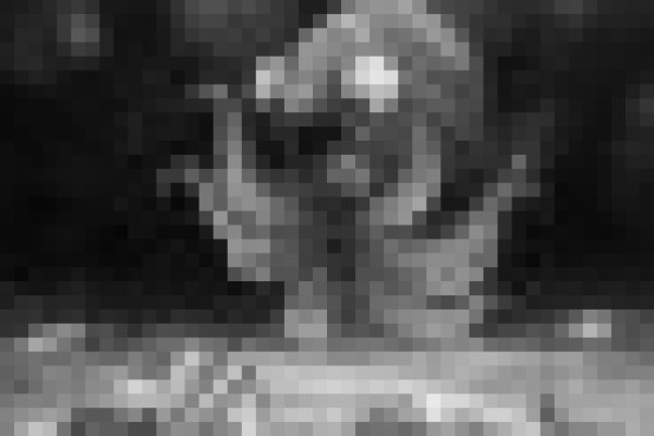 Kraken tor link