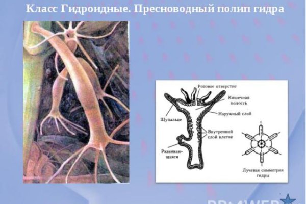 Кракен зеркало тор