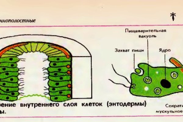 Наркосайт кракен
