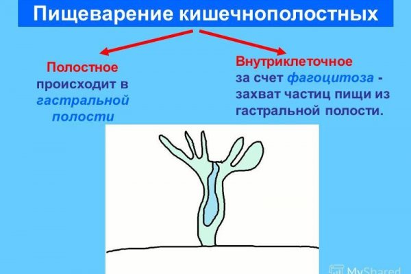 Даркнет кракен отзывы о платформе