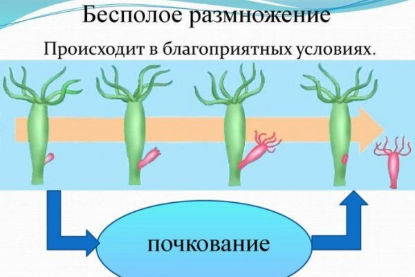 Настоящий сайт kraken