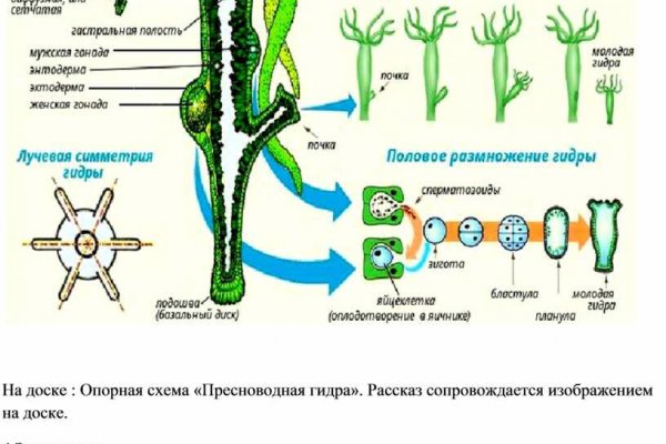 Правильная ссылка на кракен