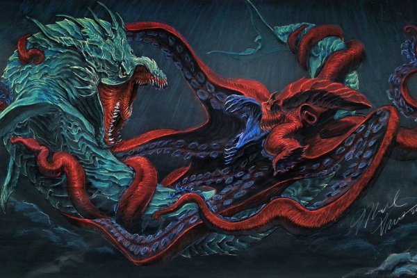 Kraken 14at