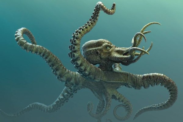 Kraken onion вход