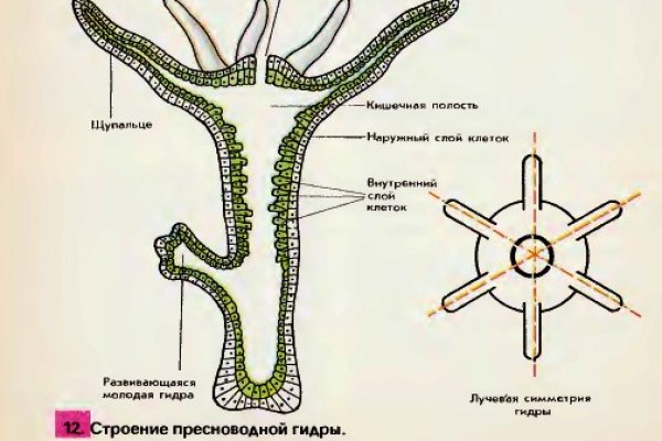Что продают в кракен маркете